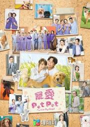 2023TVB港剧《宠爱Pet Pet》