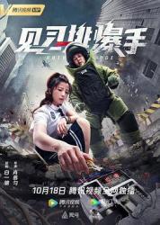 2020国产警匪动作《见习排爆手》