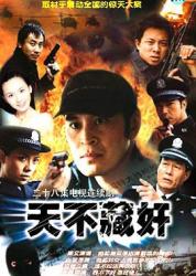 2003经典高分警匪犯罪剧《天不藏奸》