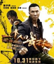 2014甄子丹王宝强动作《一个人的武林》