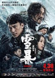 2018国产悬疑犯罪动作《雪暴》