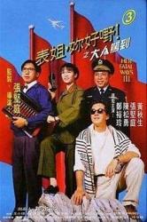 1992经典高分喜剧片《表姐，你好嘢！3之大人驾到》