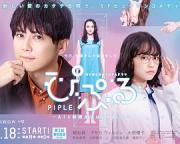 2020深夜日剧《PIPLE：和AI的结婚生活开始了》