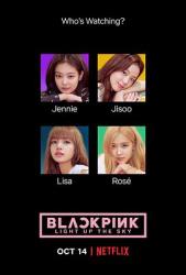 2020美国8.1分纪录片《BLACKPINK：照亮天空》