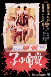 1979邵氏古装武侠《卖命小子》