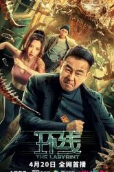 2022陈小春灾难动作《环线》