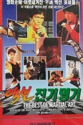 1990香港动作纪录片《金装武术电影大全》