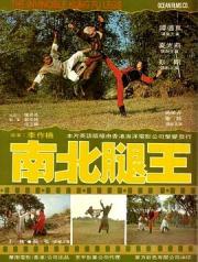 1980台湾6.5分武侠动作《南北腿王》