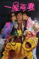 1987梅艳芳6.5分喜剧《一屋两妻》