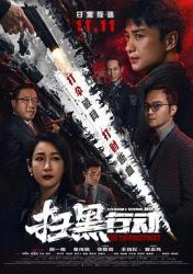 2022国产犯罪动作《扫黑行动》